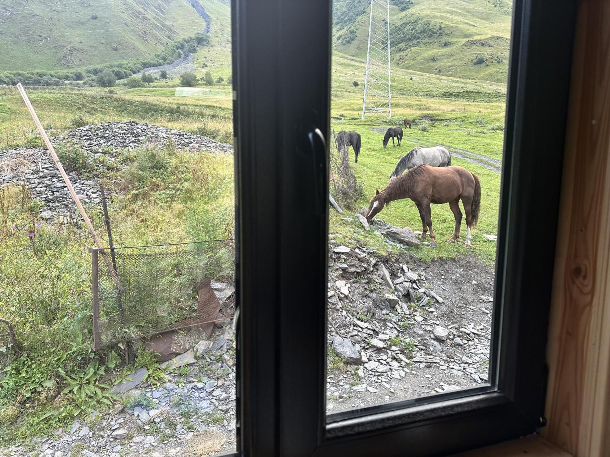 A&B Cottages Kazbegi Exterior foto